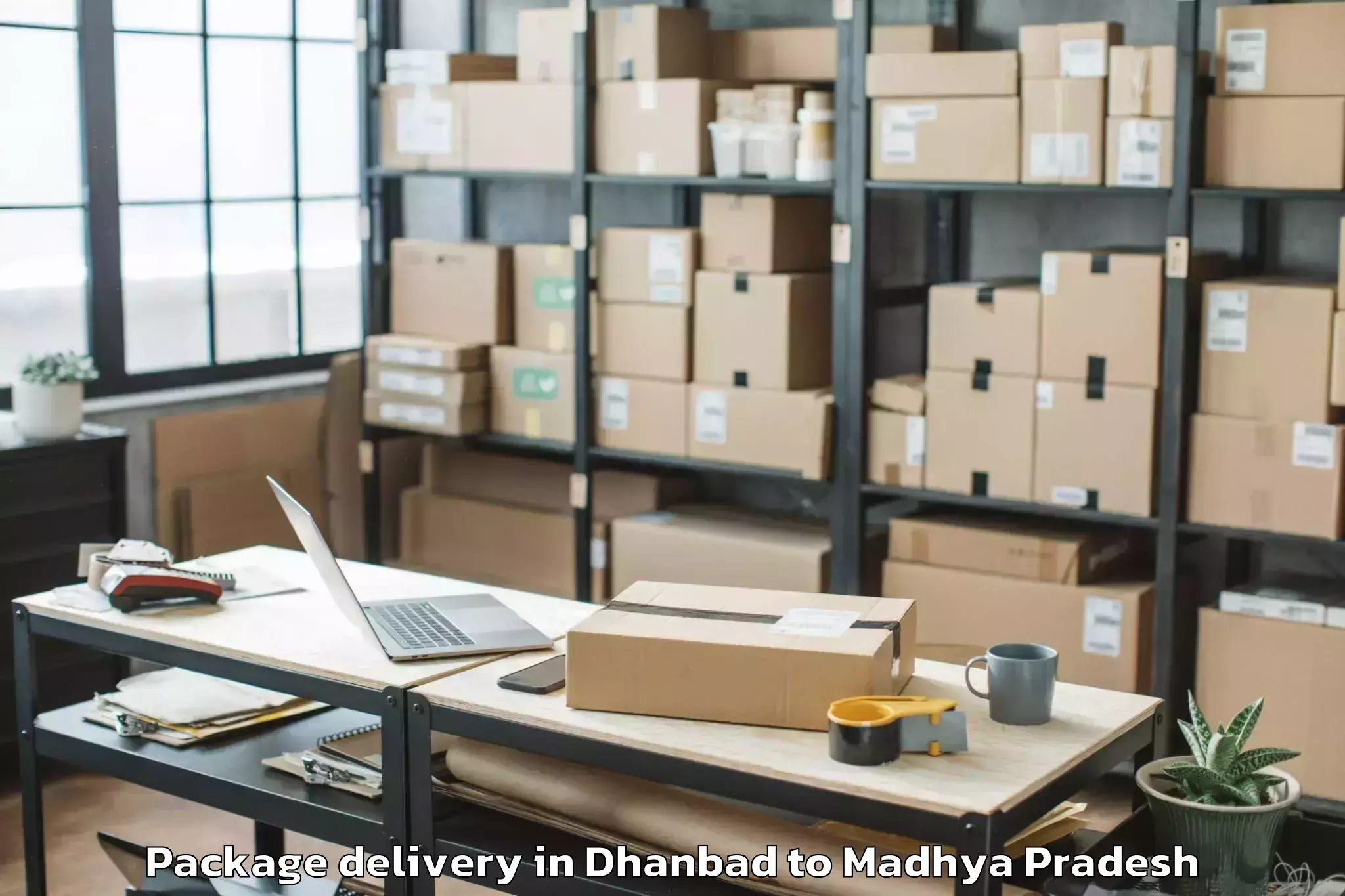 Reliable Dhanbad to Pichhore Package Delivery